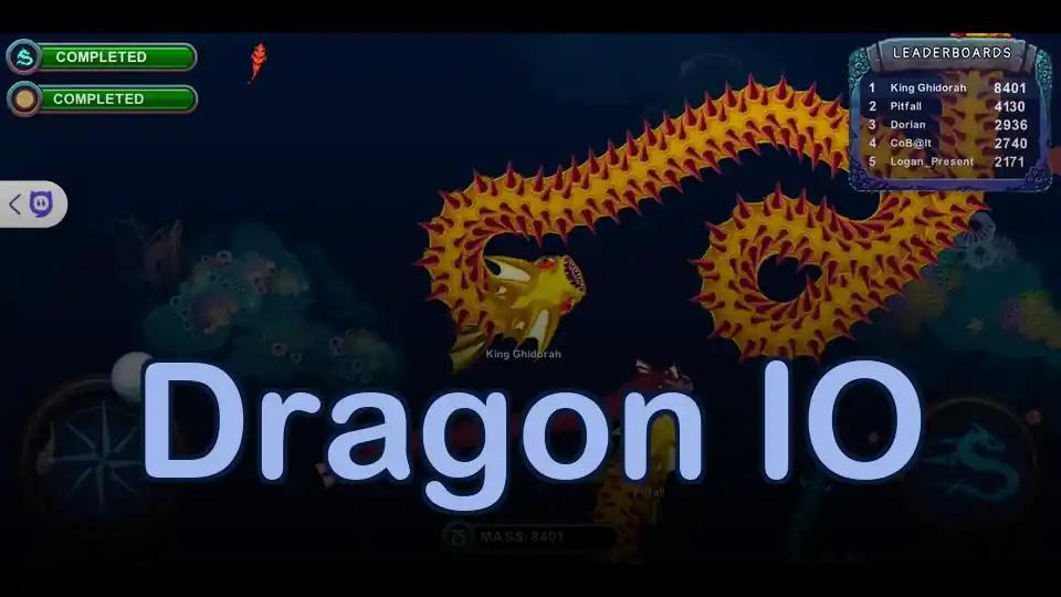 Dragon IO cover