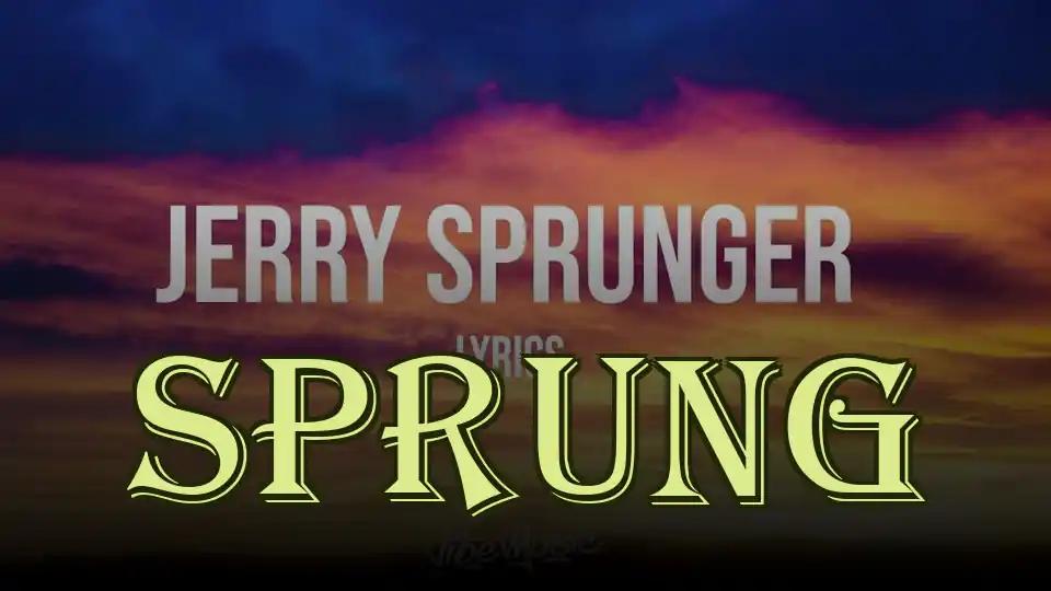 Sprung cover