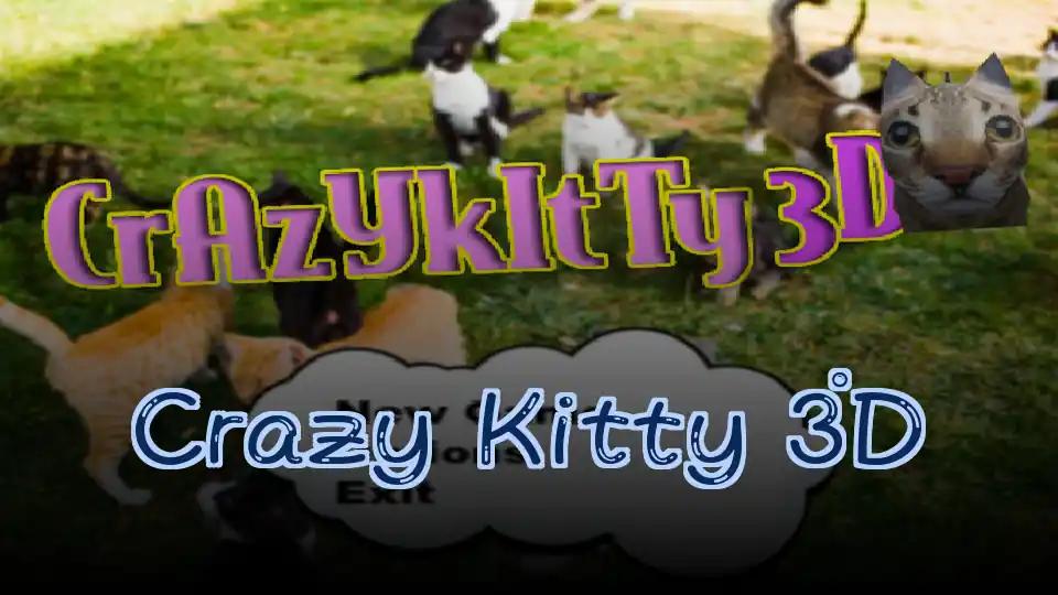 Crazy Kitty 3D
