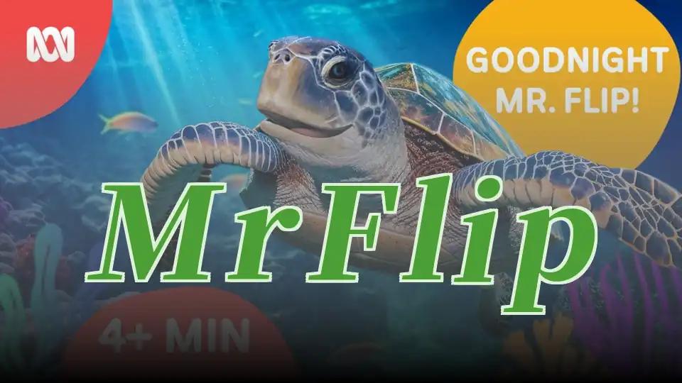 Mr Flip